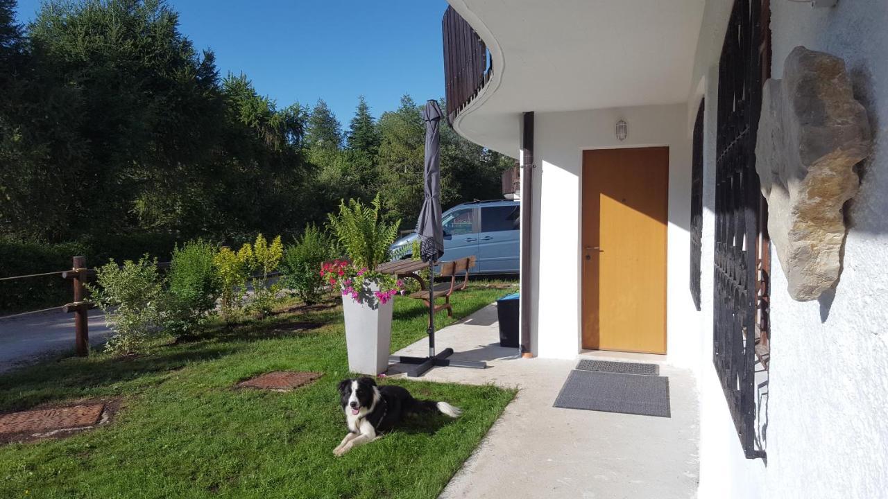 Casa Polsa "1964" Villa Brentonico Exterior photo